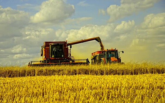 Минсельхоз США снизил прогноз по экспорту пшеницы РФ