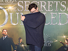 «Фантастические твари» провалились в прокате