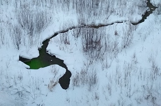 В Перми река Егошиха окрасилась в зелёный цвет. Что произошло?