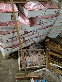 Мясо крупной компании хранилось в антисанитарных условиях в Петербурге
