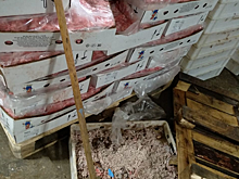 Мясо крупной компании хранилось в антисанитарных условиях в Петербурге