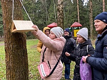 Реабилитанты РЦдИ «Ремесла» позаботились о зеленоградских птицах