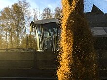 Как помочь омским аграриям организовать экспорт