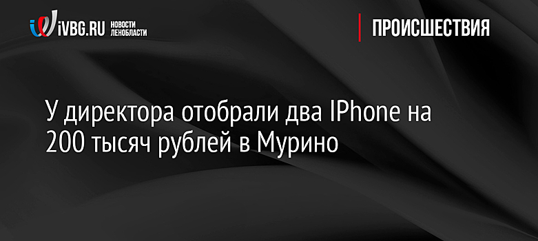 У директора отобрали два IPhone на 200 тысяч рублей в Мурино
