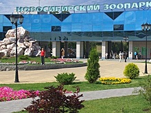 Новосибирский зоопарк планирует построить комплекс «Азия» в 2025 году