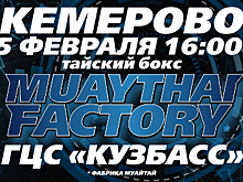 Финальные бои масштабного проекта «Muaythai Factory» пройдут в Кемерове