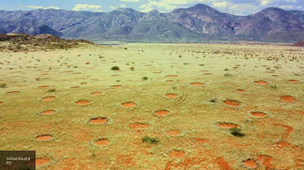 Ученые объяснили феномен "ведьминых кругов" в Намибии