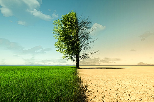 Мир продолжает больше инвестировать в разрушение природы, чем в сохранение