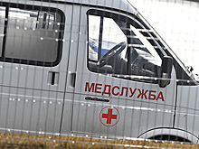 Дагестан и Северная Осетия догнали Петербург по числу заражений коронавирусом