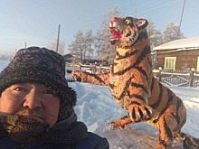 В Якутии слепили тигра из навоза