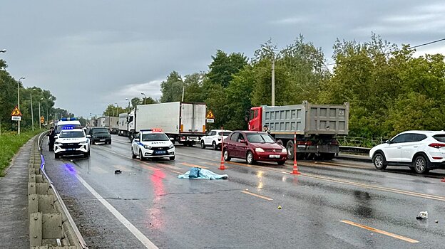 В ГАИ прокомментировали трагедию с женщиной на М-5