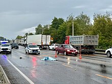 В ГАИ прокомментировали трагедию с женщиной на М-5