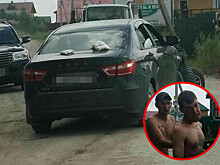 Пьяный лихач-инвалид ответит за убитую тещу педиатра