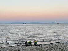 Новую набережную во Владивостоке спроектируют с помощью Big Data МТС