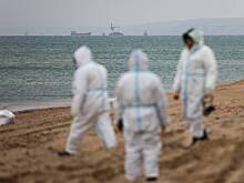 Раскрыты последствия разлива мазута для рыболовства в Черном море