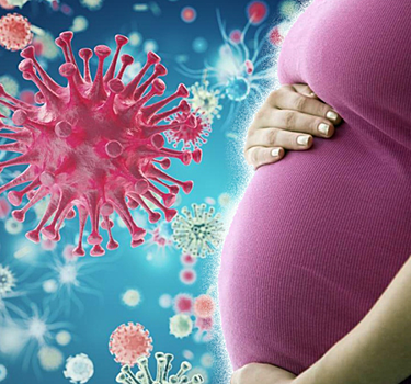Коронавирус при беременности в 1, 2, 3 триместрах