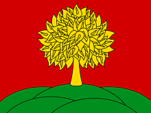 «Главное — личное обогащение» — у мэра Липецка не нашли лишних миллионов