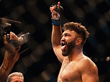 Андрей Орловский нокаутировал Трэвиса Брауна на турнире UFC 187, видео