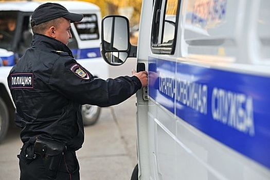 В Москве арестовали выбросившую ребенка из окна женщину