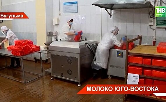 Бугульминский молочный комбинат наращивает производство продукции — видео