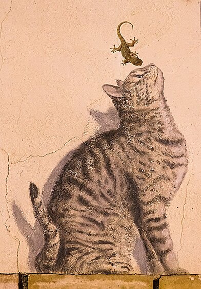 Искусство и жизнь.  Прогуливаясь по одной из улиц родного города Корелья на севере Испании, фотограф Эдуардо Бланко Мендисабаль обратил внимание на стену с нарисованным на ней котом. В его голове сразу же возник образ: он представил живого геккона, подбежавшего к морде нарисованной кошки.  Мендисабаль знал, что по ночам гекконы, которые в изобилии водятся в Корелье, выползают на нагретые солнцем стены. Когда наступила темнота, фотограф вернулся к стене с кошкой и стал терпеливо ждать появления ящерицы.  Как только один из гекконов подполз к нужной части рисунка, Эдуардо нажал на кнопку спуск. Этим кадром он хотел показать, как ловкий охотник становится жертвой нарисованного хищника.  