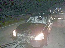 На трассе М-5 в Красноярском районе погиб пешеход