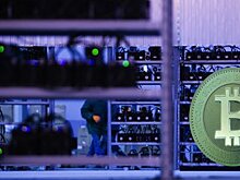 Фермеры XXI века. Почему москвичи продолжают покупать оборудование для майнинга