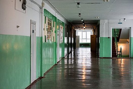 В СПЧ отреагировали на избиение российского школьника детьми мигрантов