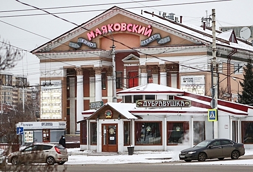 Владелица «Дубравушки» заплатит омской мэрии более 270 тысяч рублей за снос ее кафе