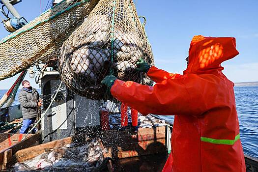 С Баренцевым морем случилось нечто необъяснимое
