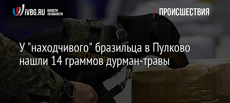 У "находчивого" бразильца в Пулково нашли 14 граммов дурман-травы