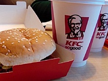 KFC потребовал от покупателя извинений за «крысу-фри»