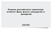 Родина российского триколора отметит День флага концертом и ярмаркой