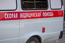 Звезда "Папиных дочек" Леонов попал на скорой в московскую больницу с переломом
