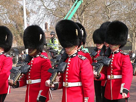 В Лондоне королевский гвардеец толкнул мешающую маршировать туристку