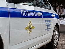 В Новосибирске задержали общественников Фролова и Поддубного