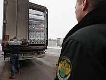 "Известия": Дворкович поручил Россельхознадзору сократить число командировок за границу
