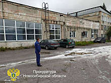 Прокуратура: по факту разлива бытовой химии в Искитиме организована проверка