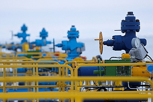 В Германии назвали Россию важнейшим поставщиком газа для Европы