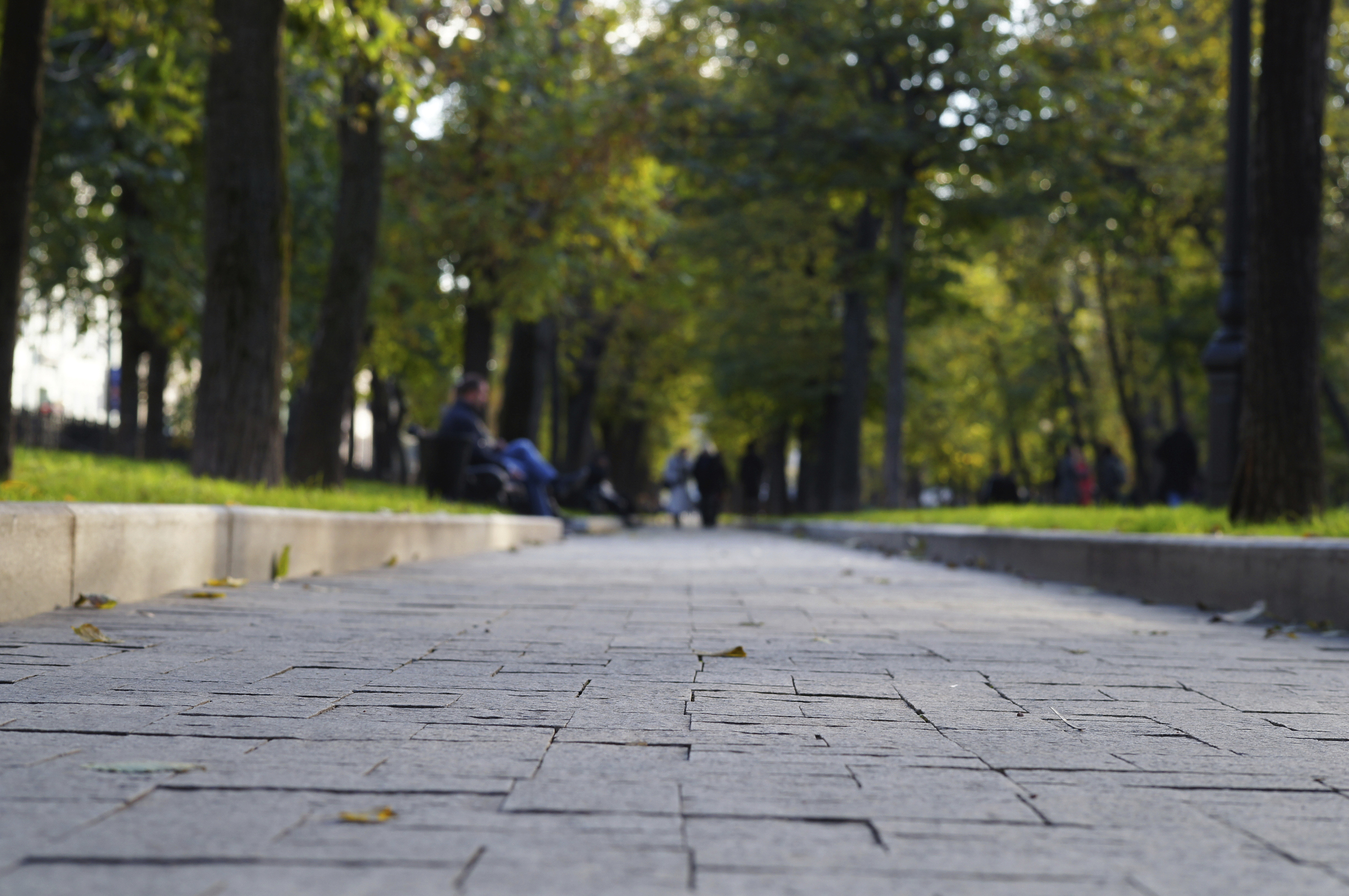 Бульвар Александра Грина, Санкт-Петербург, Российская Федерация
