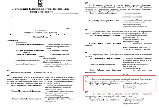 Молодежную палату в Балахне хотят распустить после кладбищенского скандала