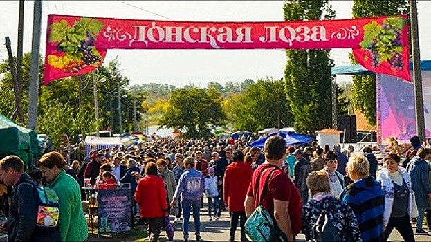 В Ростовской области из-за ковида отменен фестиваль &laquo;Донская лоза&raquo;