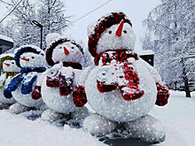 Синоптики рассказали, когда потеплеет в Москве