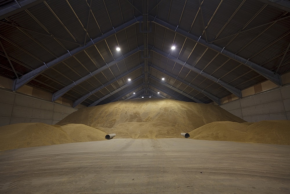 ОЗК перейдет на прямые поставки государственным импортерам зерна