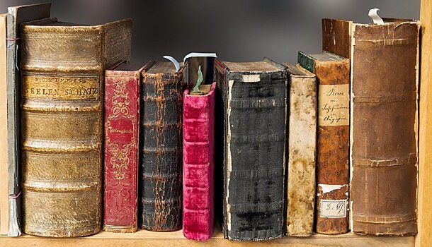 Стало известно, какие детские книги больше всего любят россияне