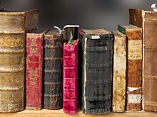 Стало известно, какие детские книги больше всего любят россияне