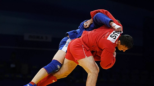 Российские самбисты завоевали 11 золотых медалей на чемпионате Европы