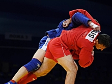 Российские самбисты завоевали 11 золотых медалей на чемпионате Европы