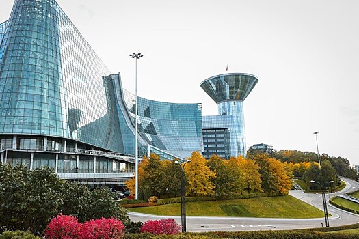 Четырнадцать молодых ученых и один авторский коллектив получат премии губернатора Подмосковья