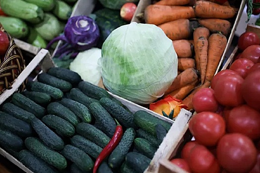 В Ленобласти нарастили объемы сбора овощей